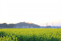 3��1�ս���ͼ