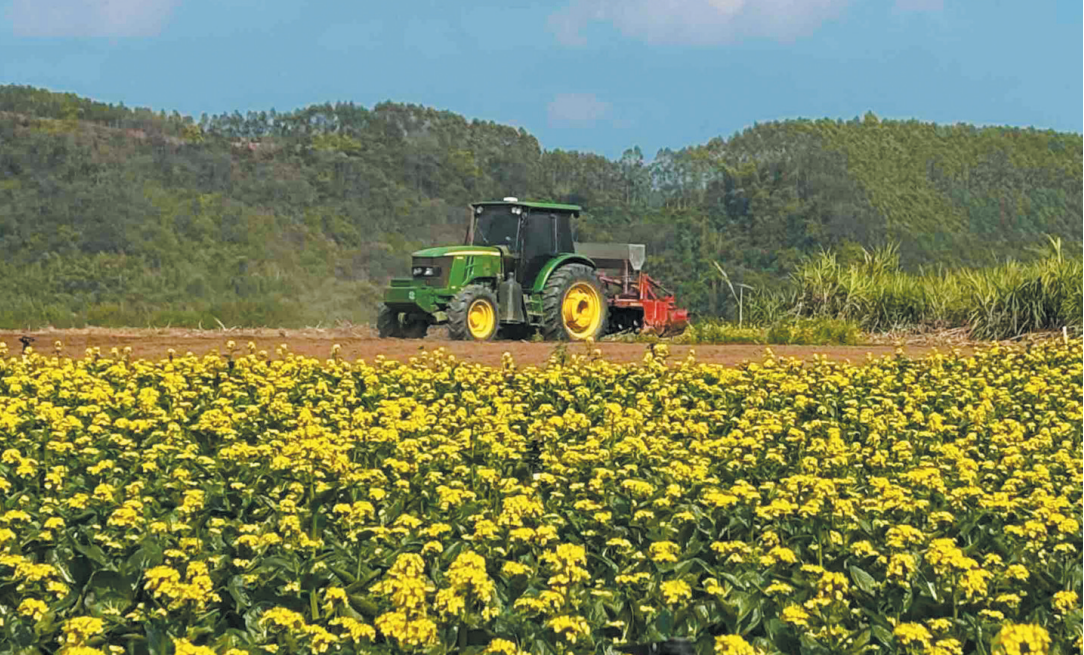 3��2�ս��c�D