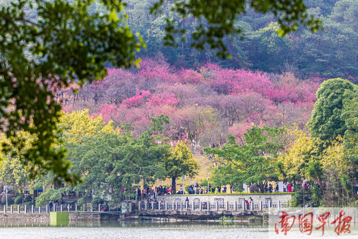 3��2�ս��c�D