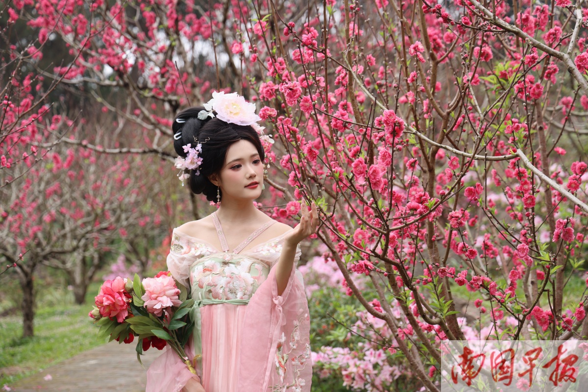 3��2�ս��c�D