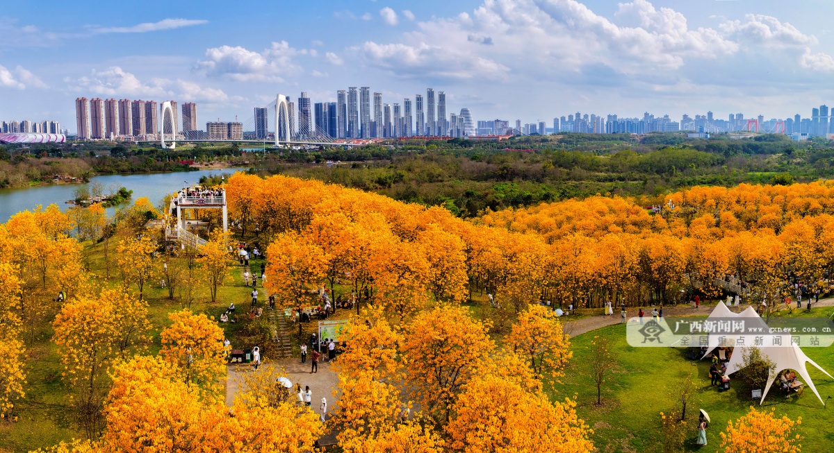 3��3�ս��c�D