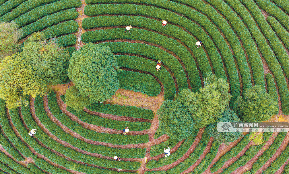 3��5�ս��c�D