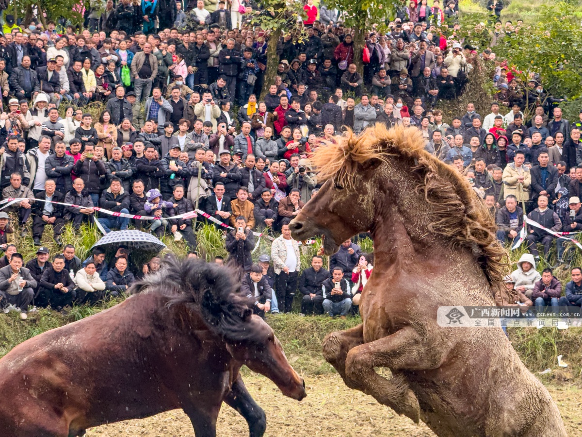 3��6�ս��c�D