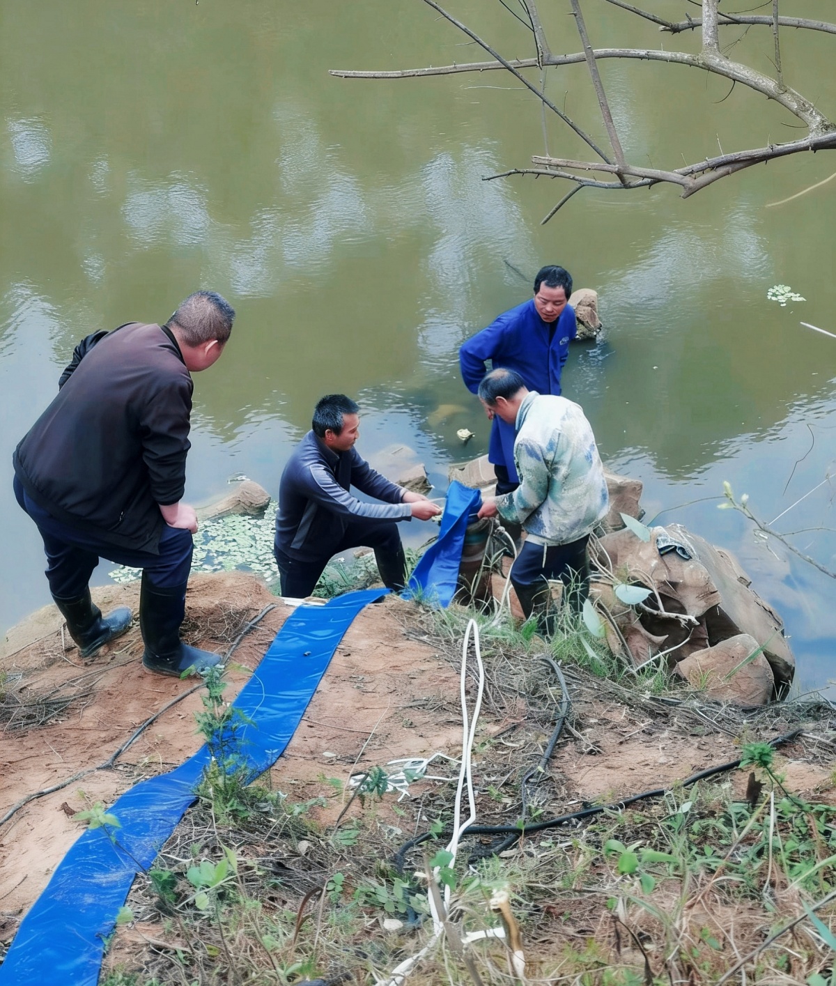 好评广西丨“土气”的代表委员相册为何最好看(图4)