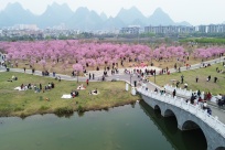 �����й���׳������0309ح̤���ͻ� ��������