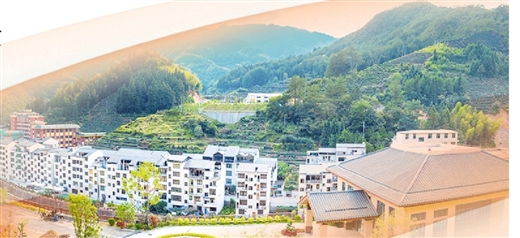 乡村全面振兴我们这样干!桂闽湘三位全国人大少数民族代表圆桌谈(图5)