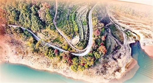 乡村全面振兴我们这样干!桂闽湘三位全国人大少数民族代表圆桌谈(图3)