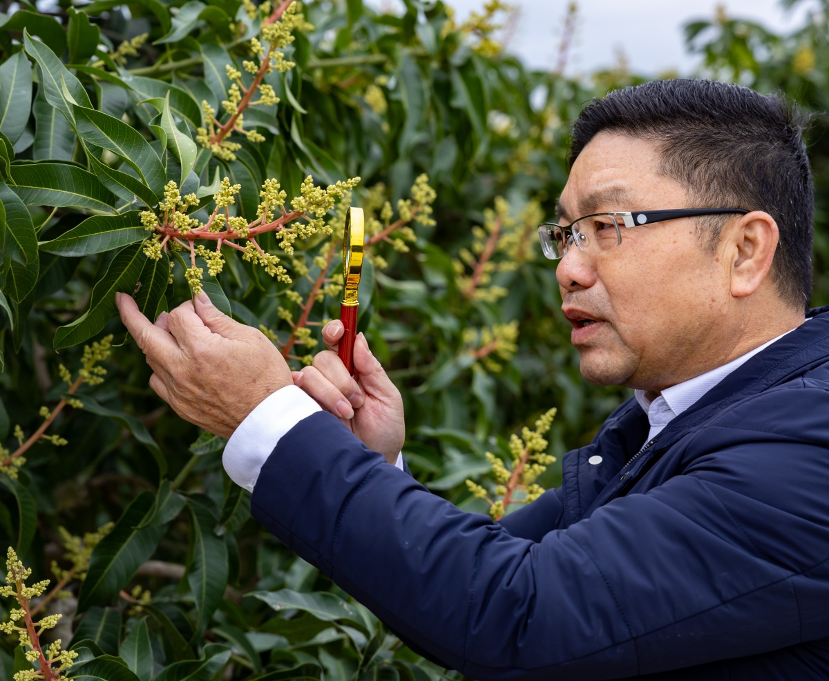 好评广西丨“土气”的代表委员相册为何最好看(图5)