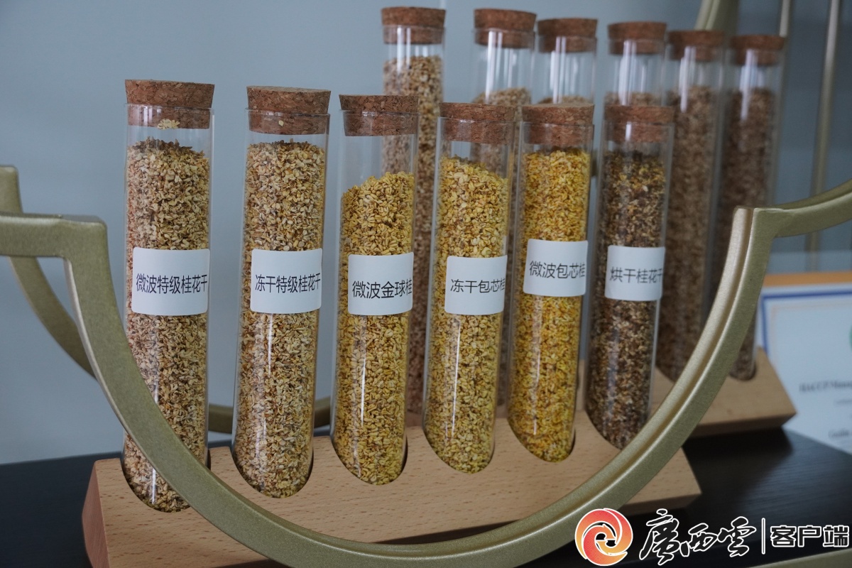 我在现场产值破千万！桂林雁山食品产业太“香”了(图3)