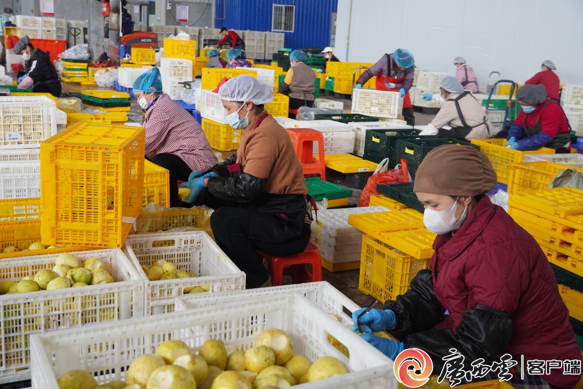 我在现场产值破千万！桂林雁山食品产业太“香”了