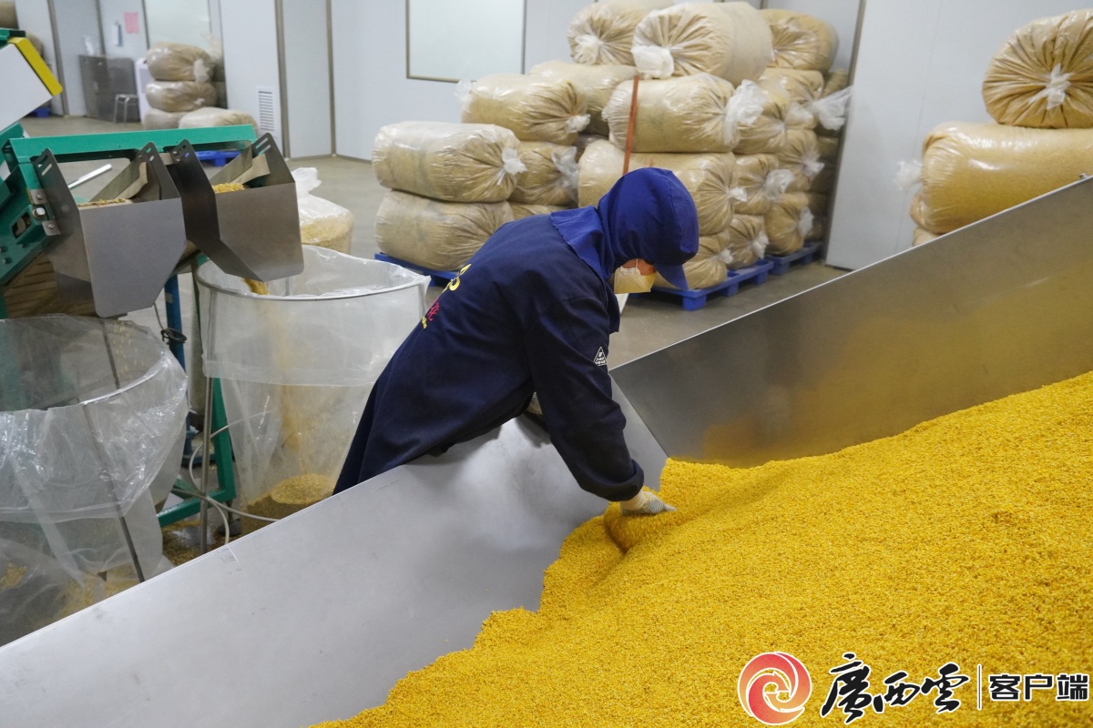 我在现场产值破千万！桂林雁山食品产业太“香”了(图4)
