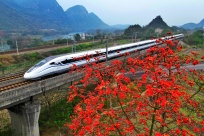 �����й���׳������0313ح���ھ��й� ���ڻ�����