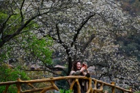 �����ɽ�����կ����ɫ�����ھ���������