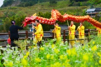 �����й���׳������0320ح��������ִ���