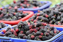 �������ɣ��Ʈ��ӭ���� ũ���ںϴ�����