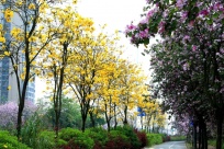 һ���Ķ���������������·���Ѵ������������װ��ȥ����