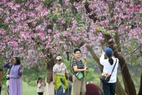 ��������Щ��԰���߻�·��ÿһ�������ڴ�����