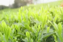 �����ֳ�����ƽ��������� ��ũ��ߢæ