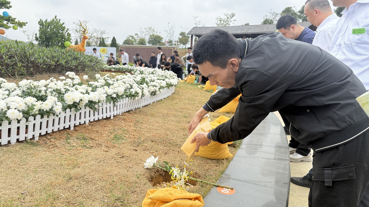 “绿色清明 生命回响”！广西3000余名逝者“入住”花坛墓