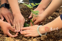 �������Խ�����壬�����㡱�ؼ���