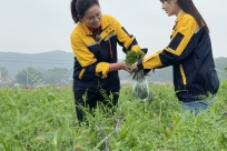 90�󺣹�ӳ����ε���Ұ��