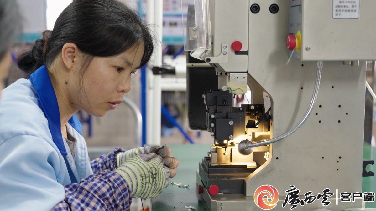 广西日报贺州头条|钟山经开区凭何跻身自治区级方阵(图2)