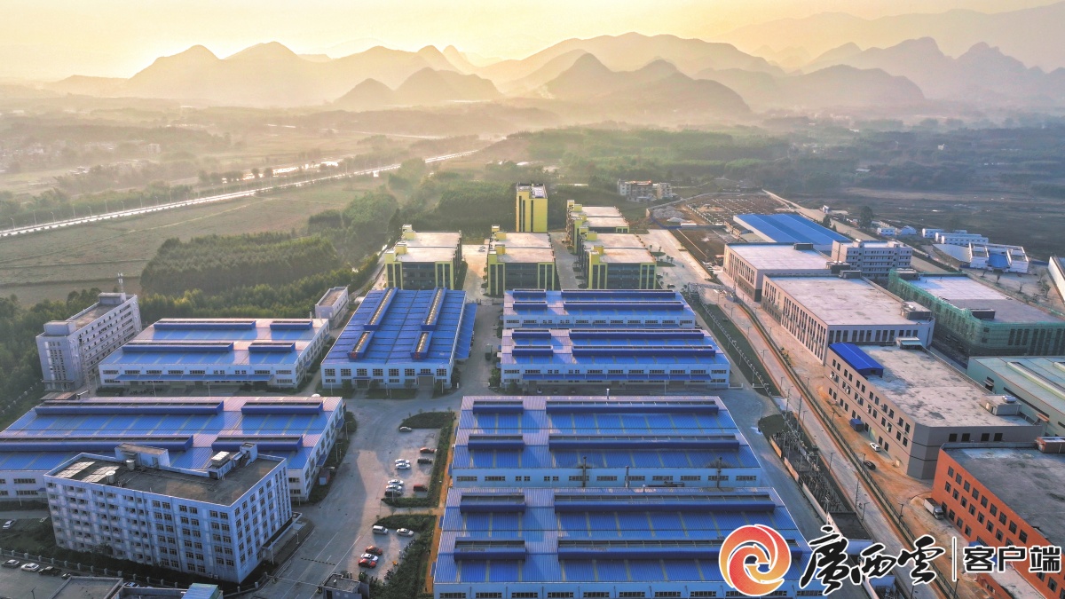 广西日报贺州头条|钟山经开区凭何跻身自治区级方阵(图4)