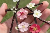 ����һ������ʶ��������÷ӣ���Ļ�