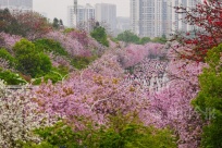 ˢ�������������Ͼ�����������Ȧ