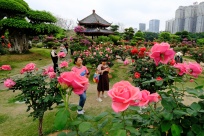 3��28�ս���ͼ