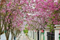 ���ݣ������޶� ��������