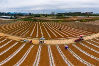 ����ͼ��ح�������ٹ�������ʪ�ش���æ