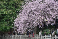 �������У��ʵ��硶�����㡷����67���꣬����������ɽ�迪���¾�����