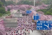 �����Ͼ� ������Ũ 2026����ȫ������������