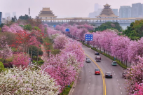 һ·�������ˮ������5���ؽ��Ͼ����򿨵����պ�