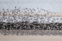 ��ǧ���������ѣ�����ȫ��λ�������ౣ������