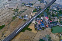 ��������������Ұ �����뻭��