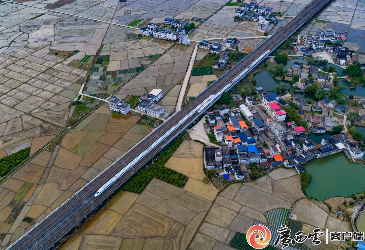 ��������������Ұ �����뻭��