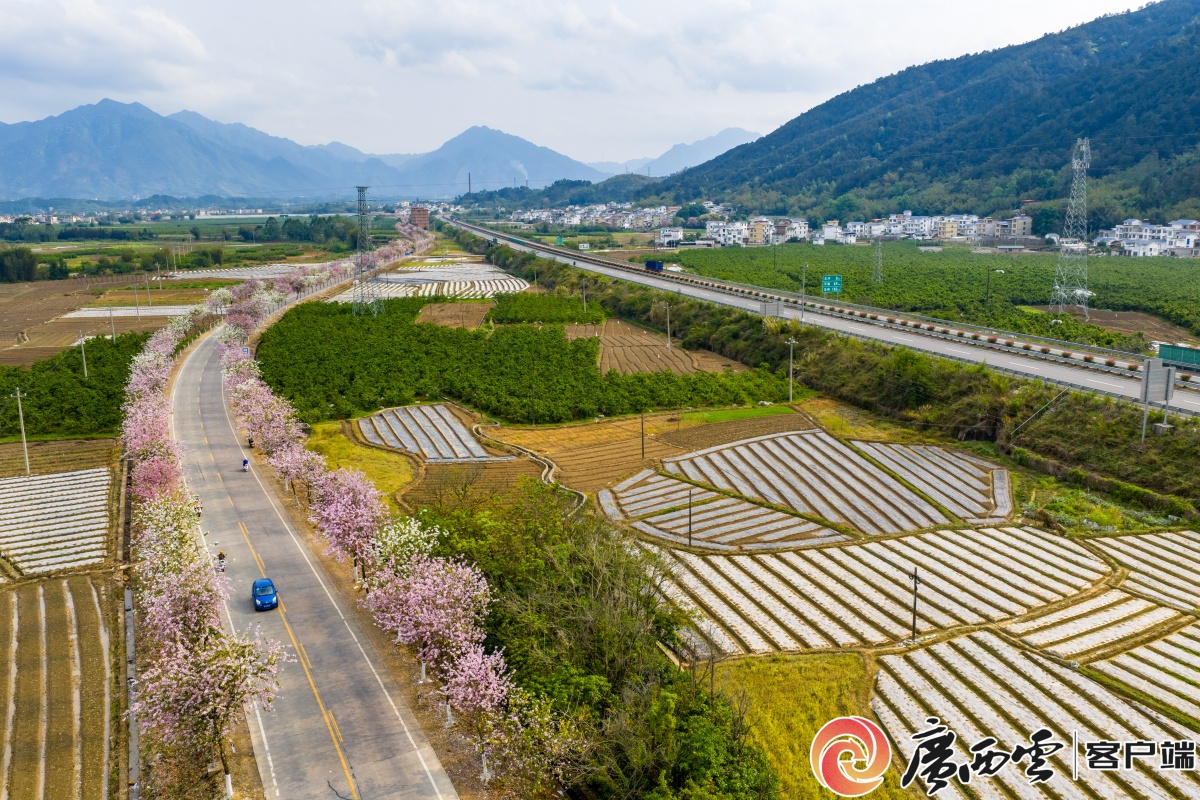 ��ɽ����ҵ�� �����