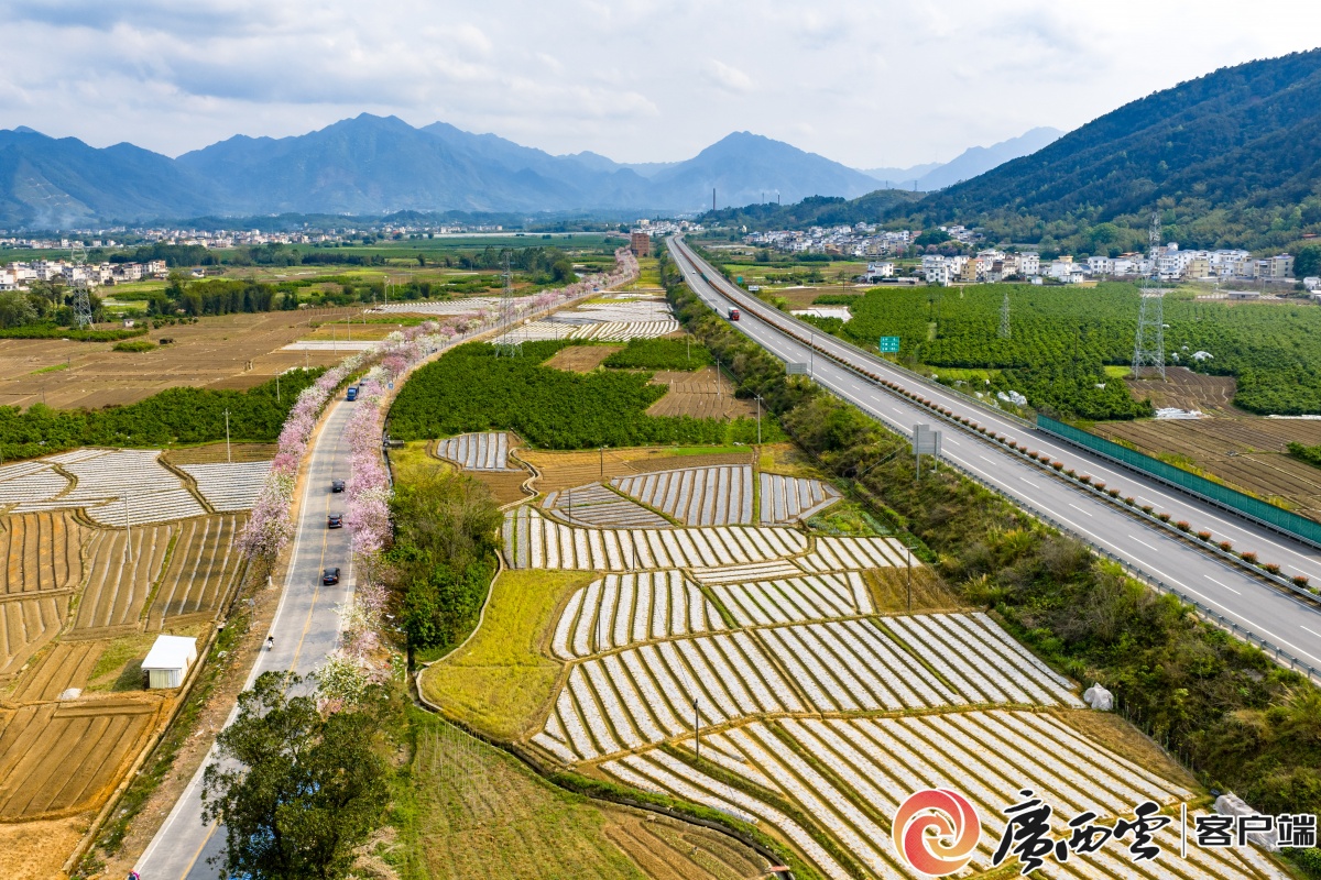 ��ɽ����ҵ�� �����