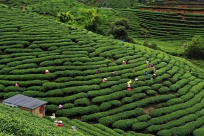 4��2�ս���ͼ