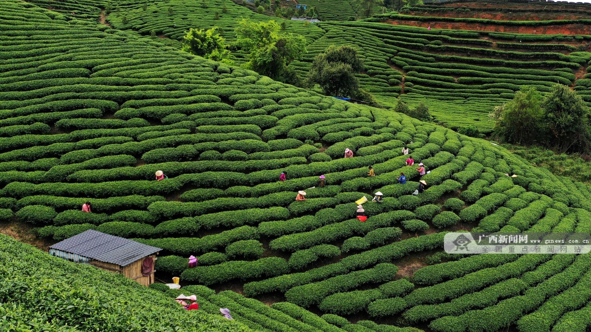 4��2�ս���ͼ