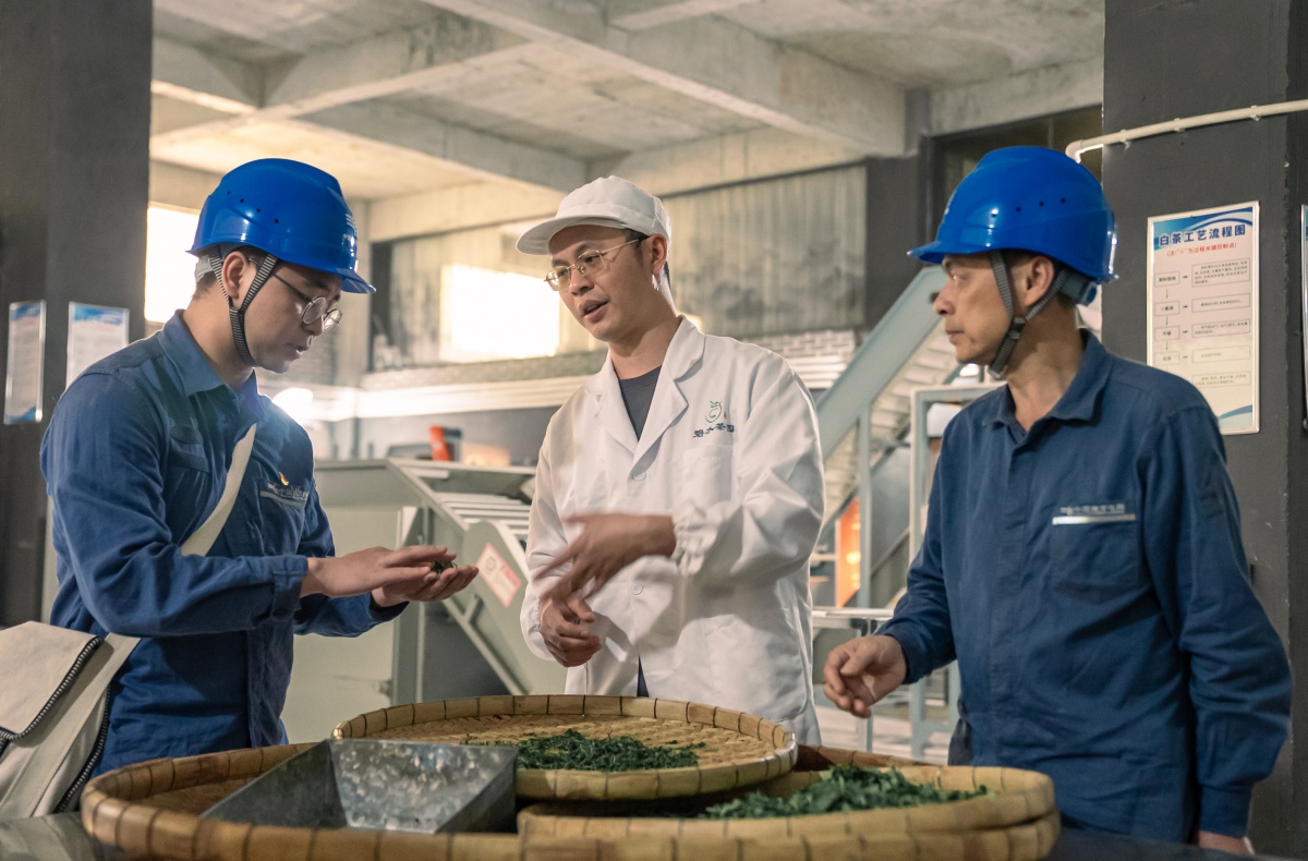 ��������¡���ס���ʡ��������������ҵ����ġ��硱����