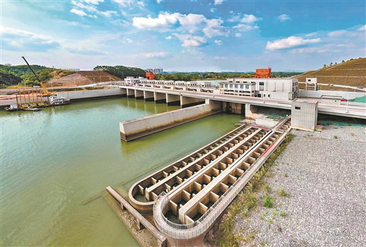 运河看点③丨生态廊道畅通鱼儿回家路