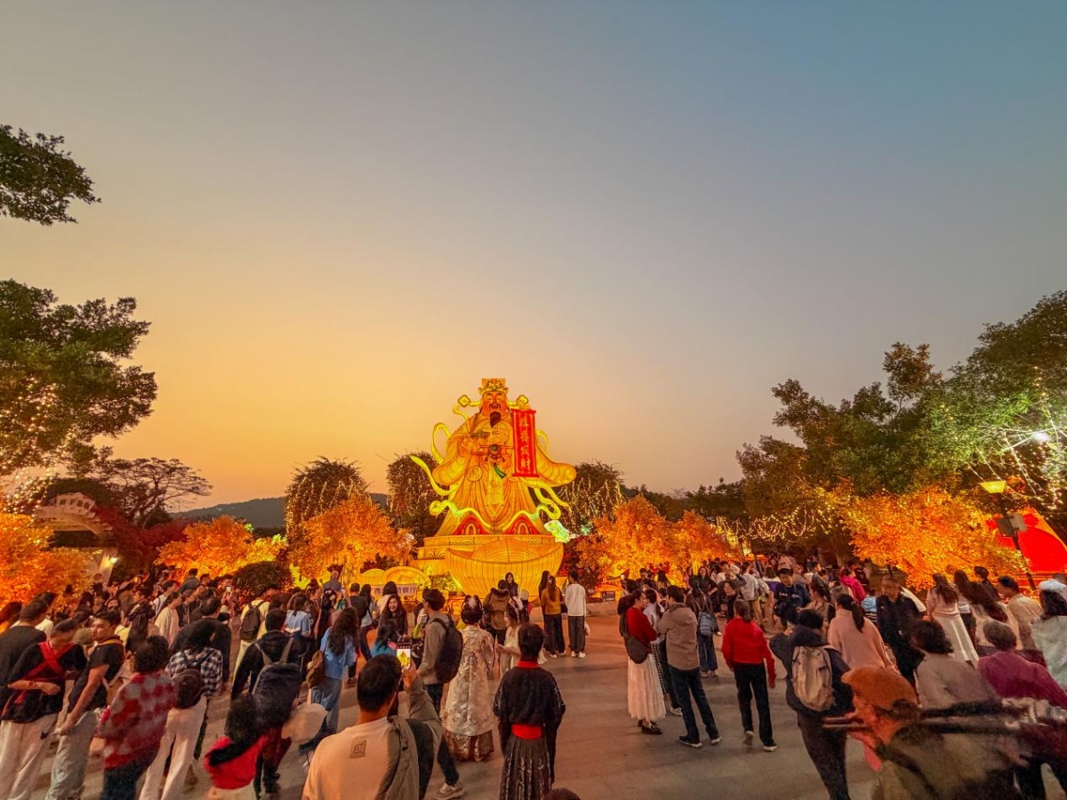 9块9看青秀山灯会，“乡”约路线发布……“三月三”游广西福利拉满！