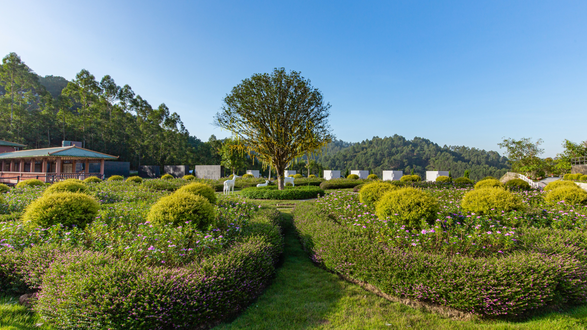 打造现代殡葬标杆 书写人文事业新篇——南宁民生服务集团着力构建现代殡葬高质量发展新模式