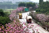 �������������������������ˣ�