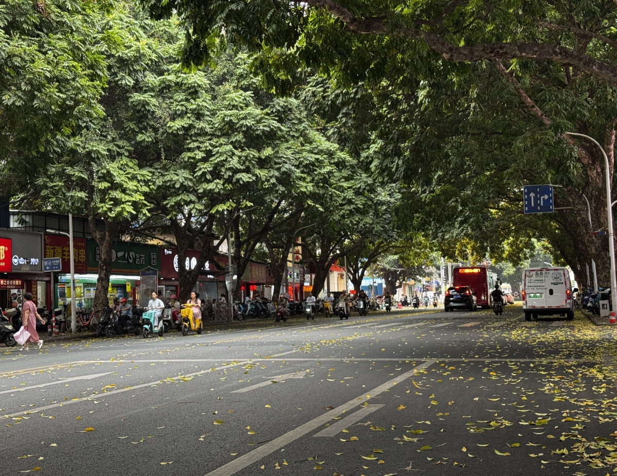 “三月三”假期广西多降雨，高温天气将“熄火”