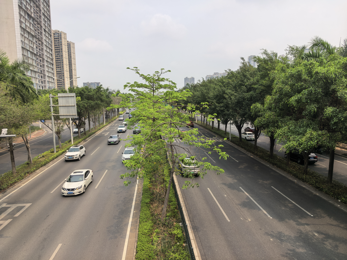 广西三月三小长假来了！南宁交警发布出行提示