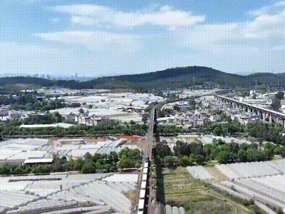 仅需26小时,大批进口榴莲到货!